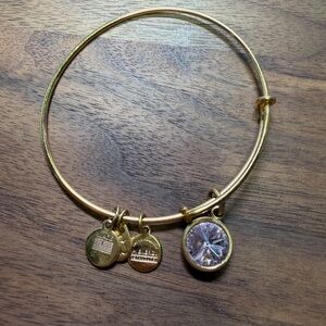 Alex and Ani Pink Gem / Gold Charm Bangle Bracelet